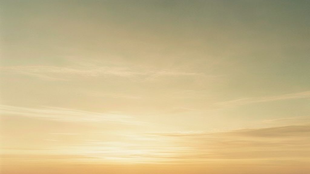 Sunlight diffused across a soft-edged sky
